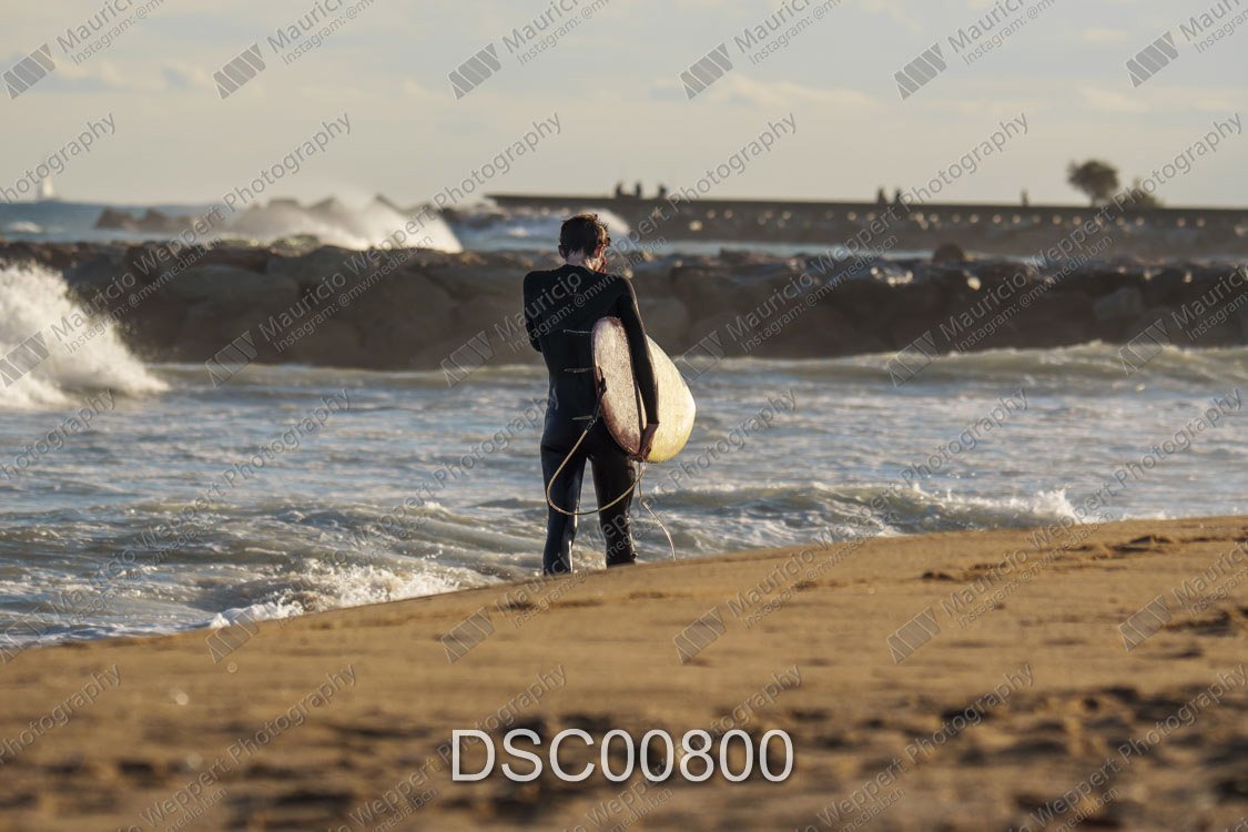 DSC00800.jpg
