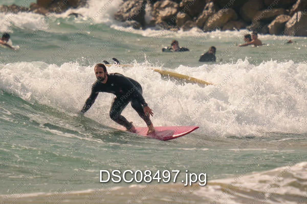 DSC08497.jpg
