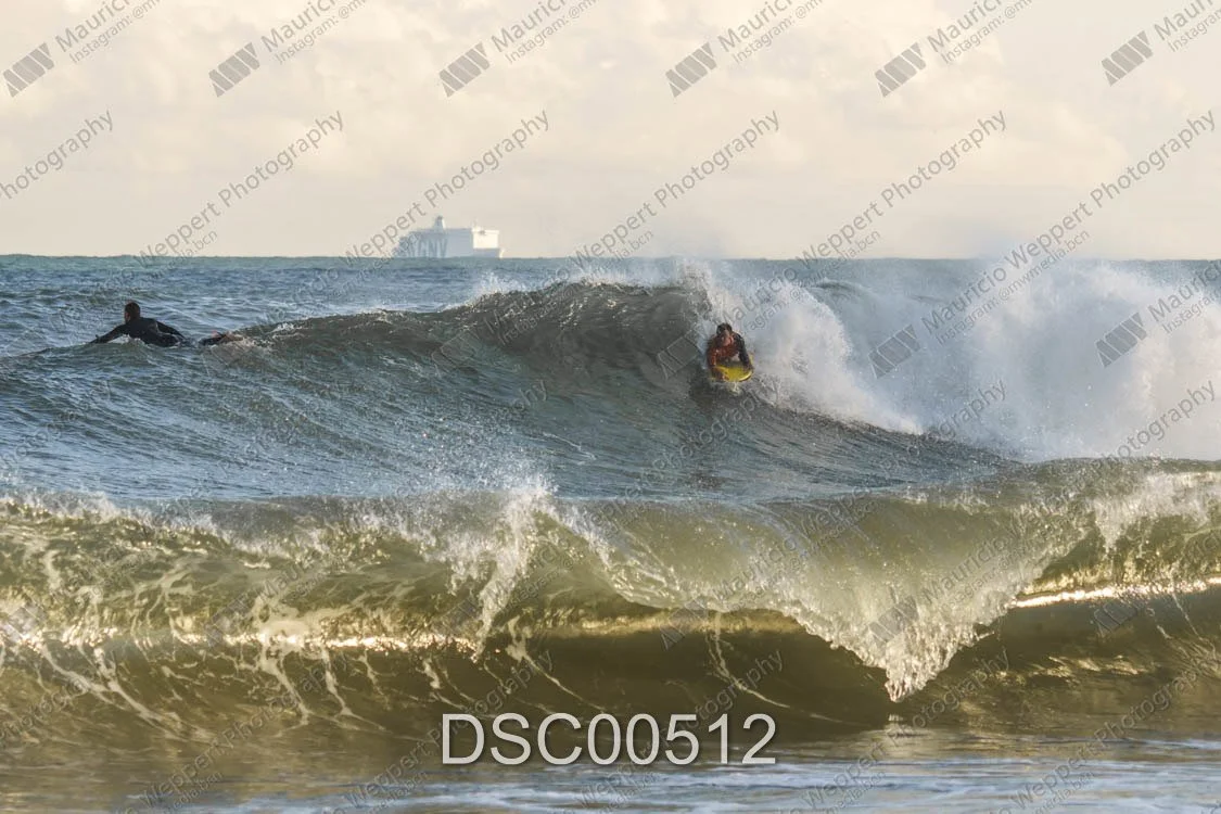 DSC00512.jpg