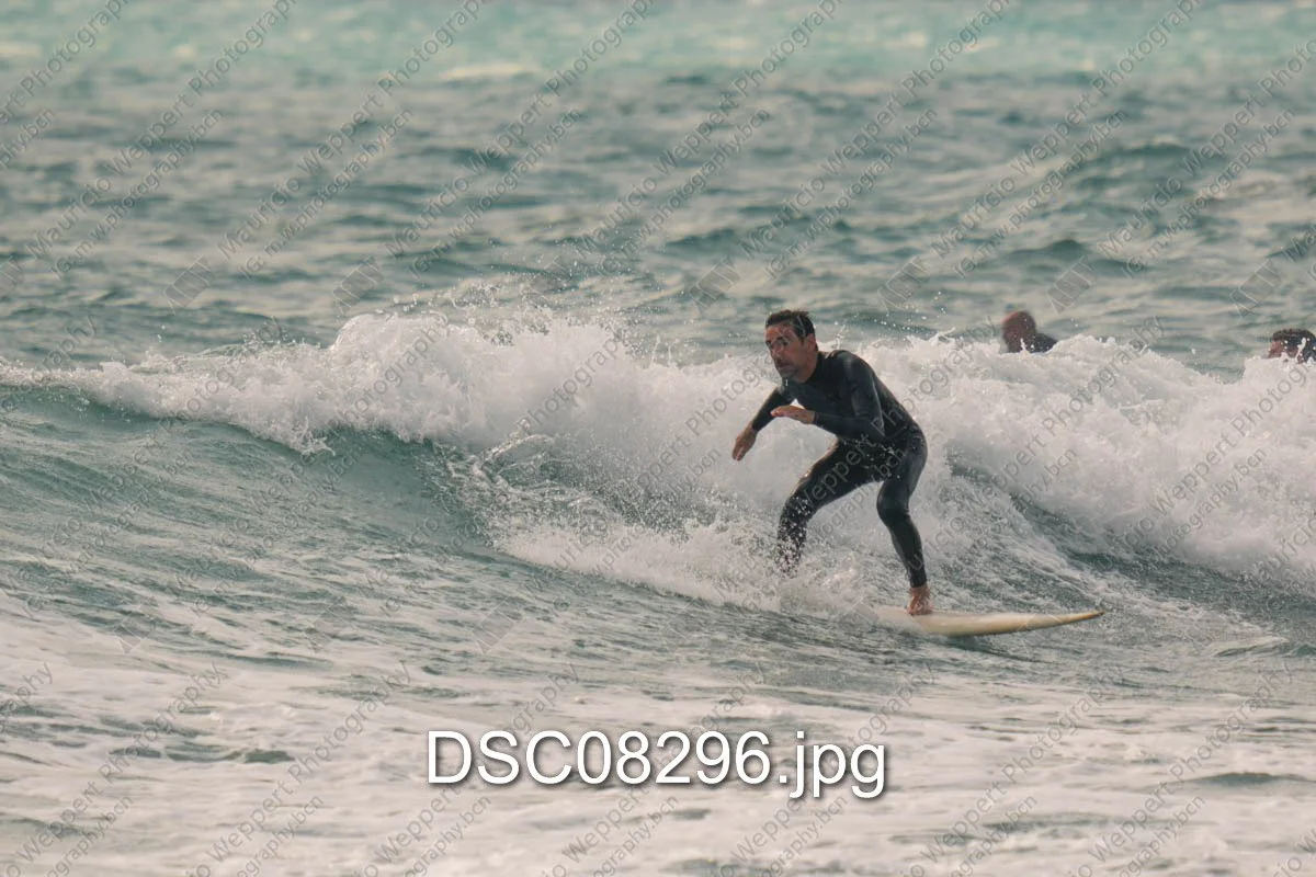 DSC08296.jpg
