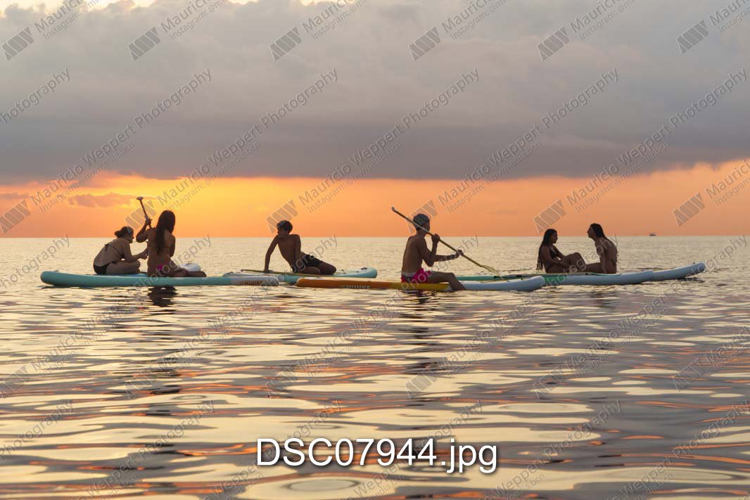 DSC07944.jpg