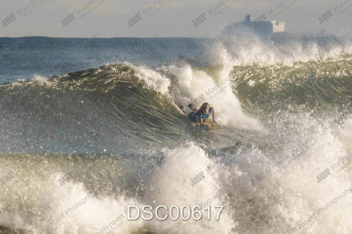 DSC00617.jpg