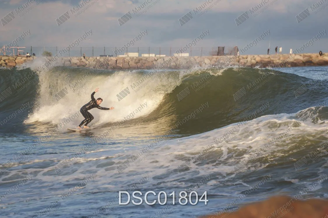 DSC01804.jpg