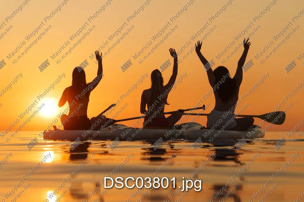 DSC03801.jpg