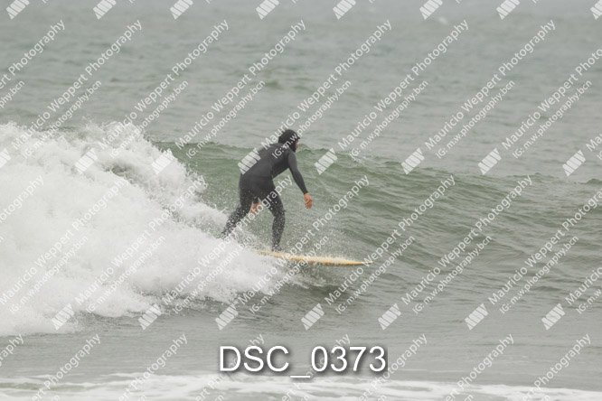 DSC_0373.jpg