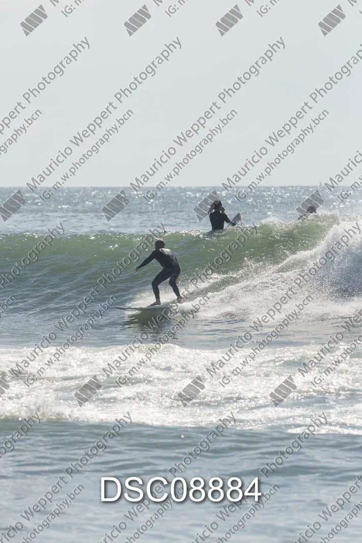 DSC08884.jpg