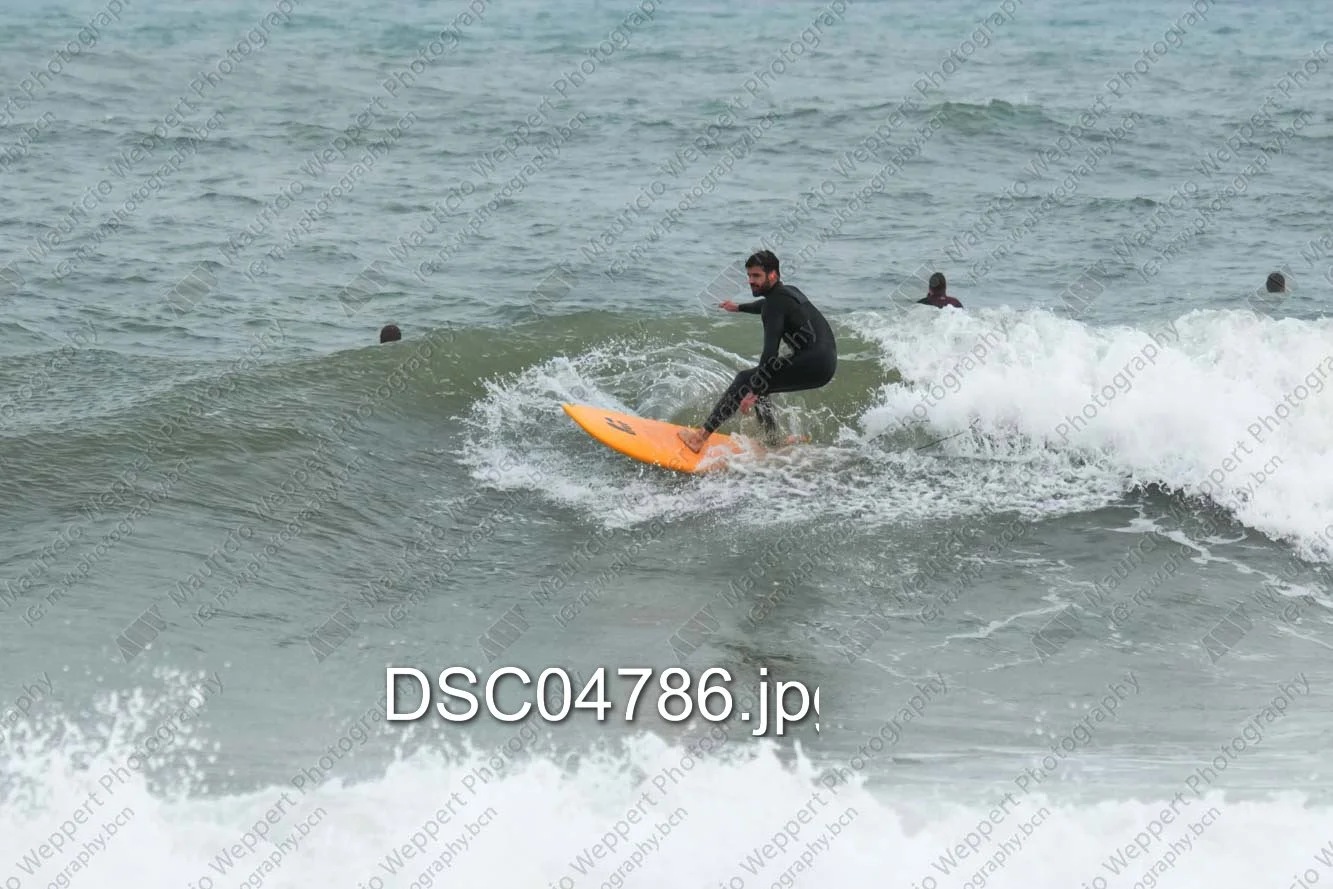 DSC04786.jpg