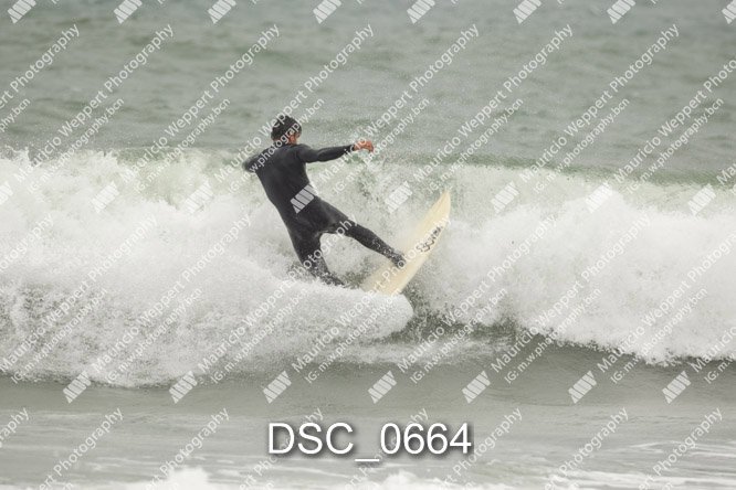 DSC_0664.jpg