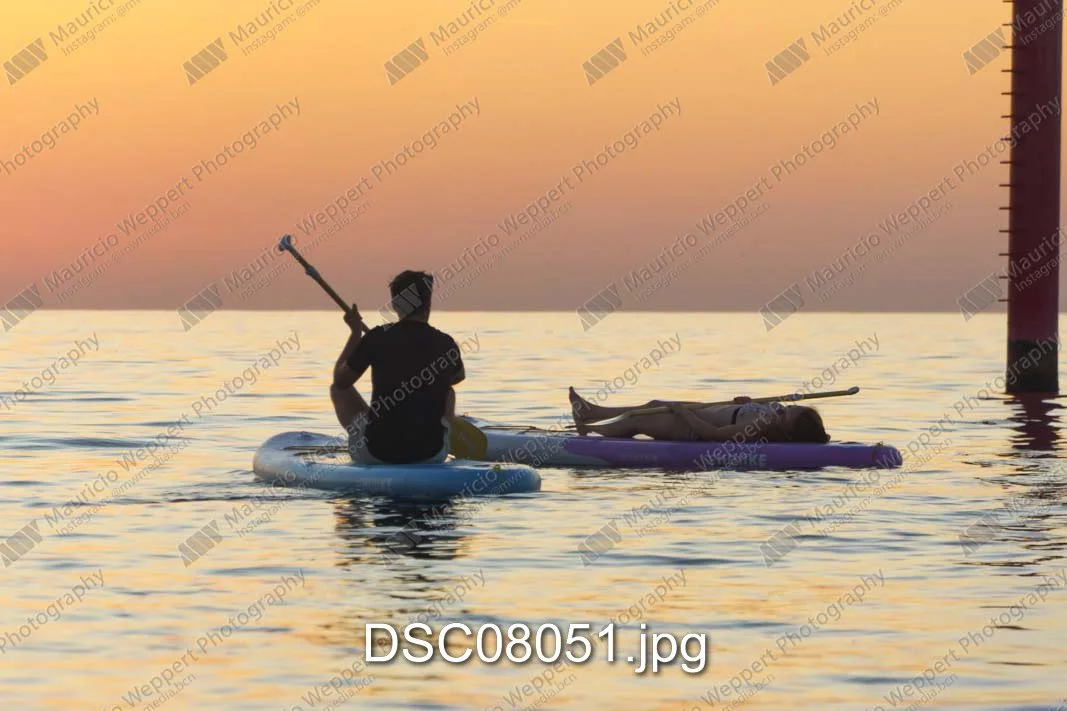 DSC08051.jpg