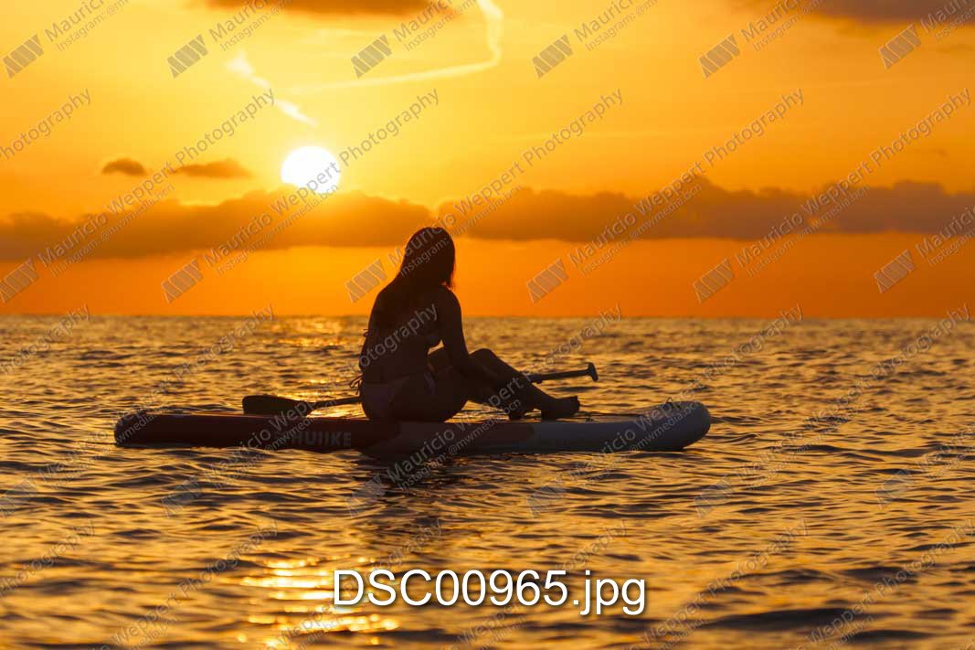 DSC00965.jpg