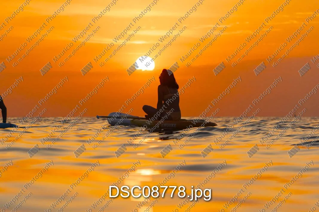 DSC08778.jpg