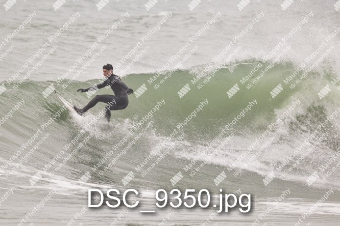DSC_9350.jpg