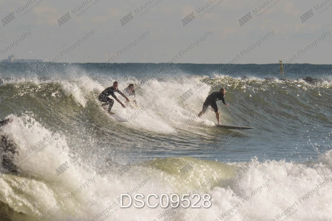 DSC09528.jpg