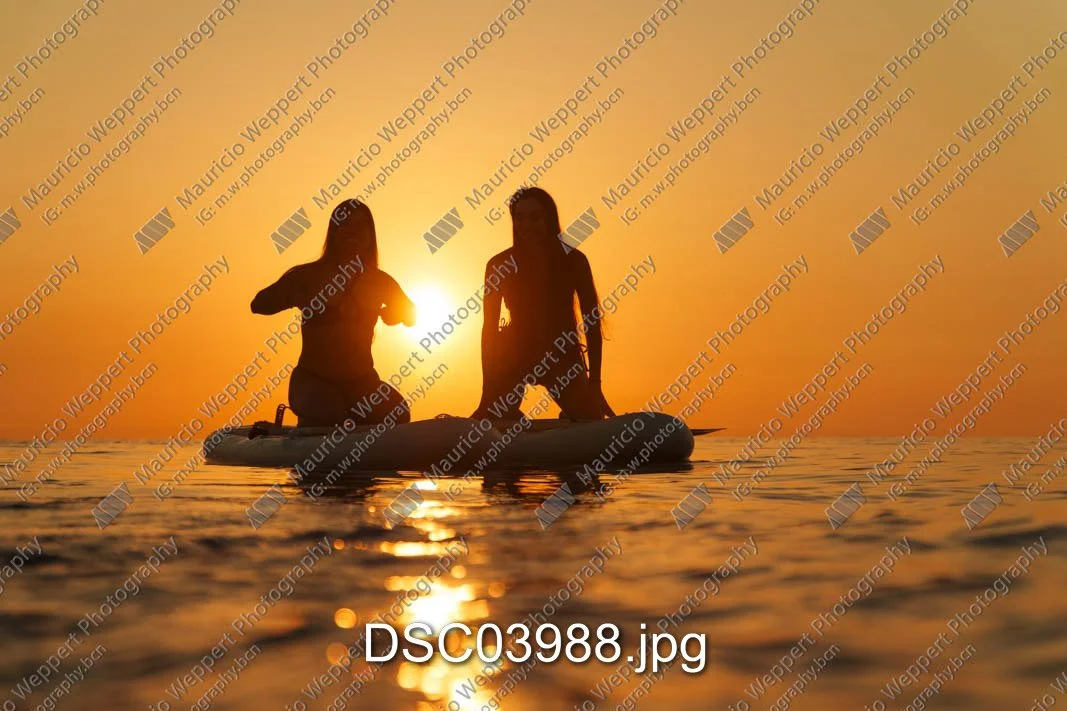DSC03988.jpg