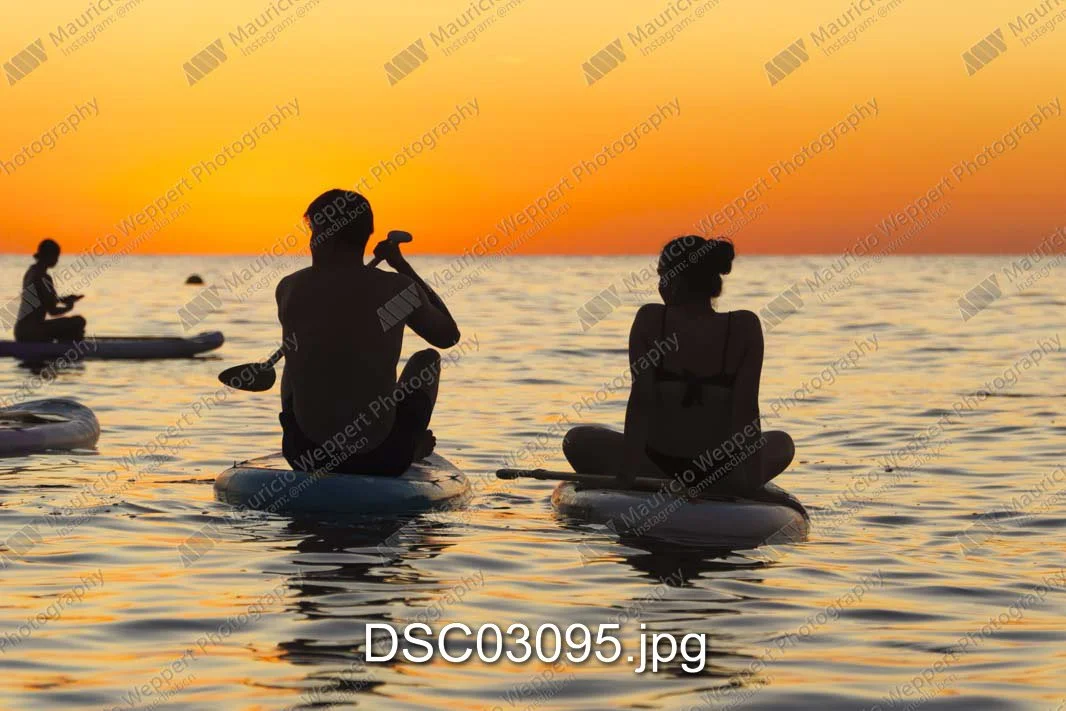 DSC03095.jpg
