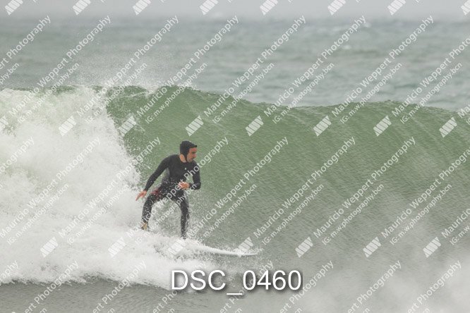 DSC_0460.jpg