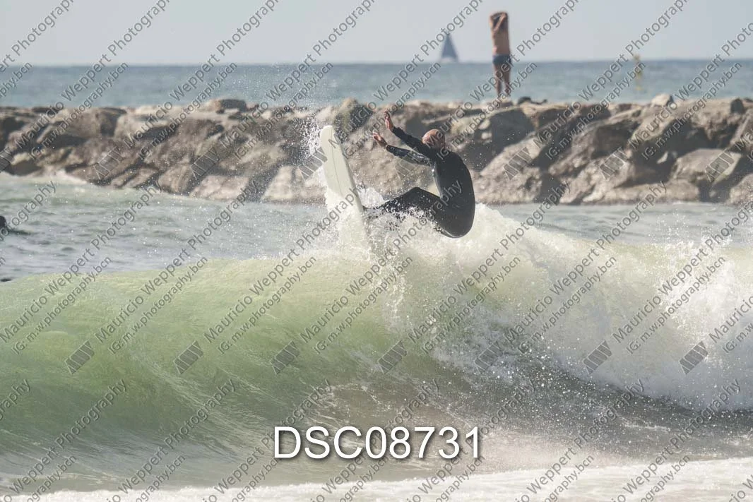 DSC08731.jpg