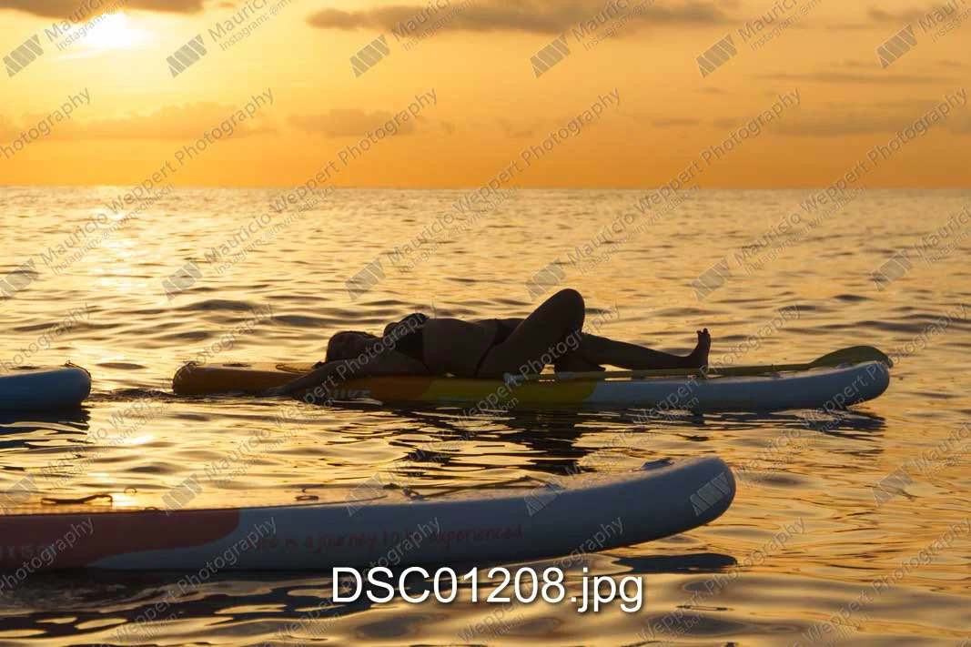 DSC01208.jpg