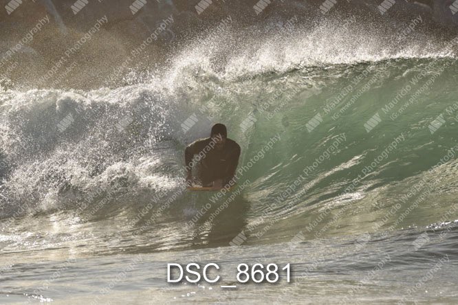 DSC_8681.jpg