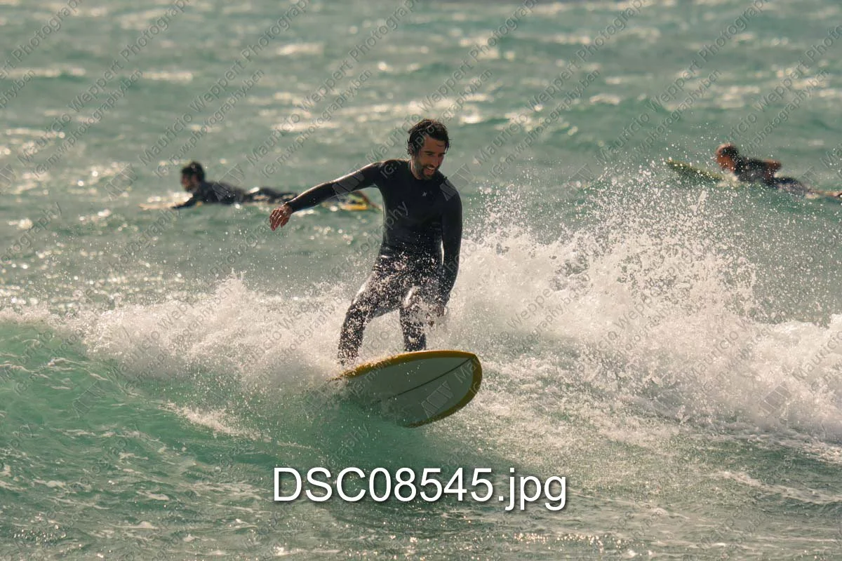 DSC08545.jpg