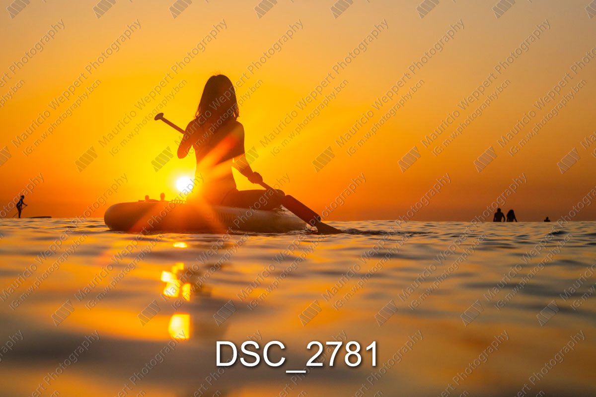DSC_2781.jpg