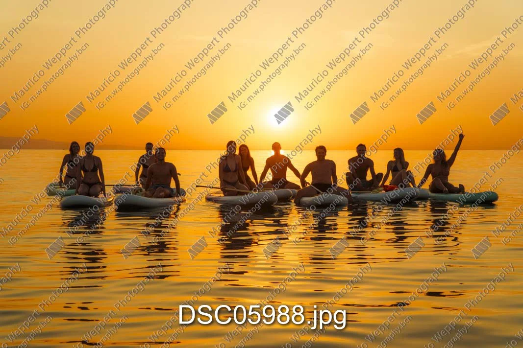 DSC05988.jpg