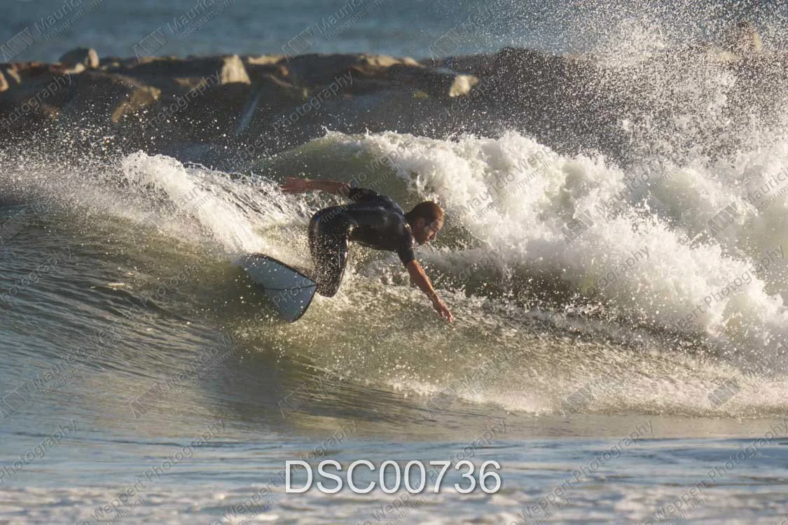 DSC00736.jpg
