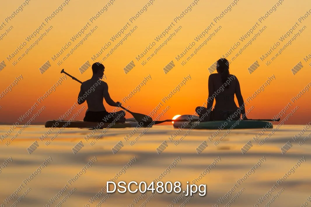 DSC04808.jpg