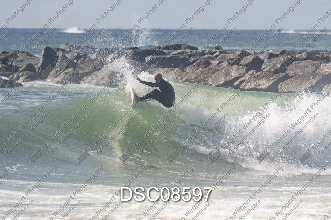 DSC08597.jpg