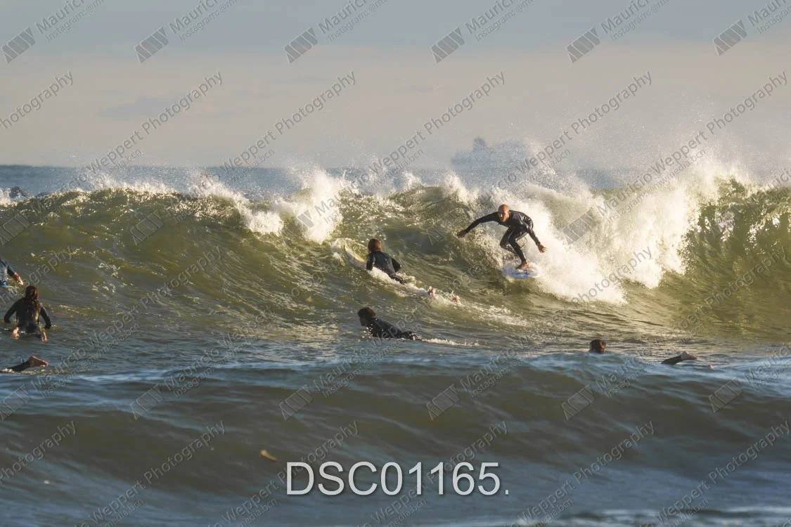 DSC01165.jpg