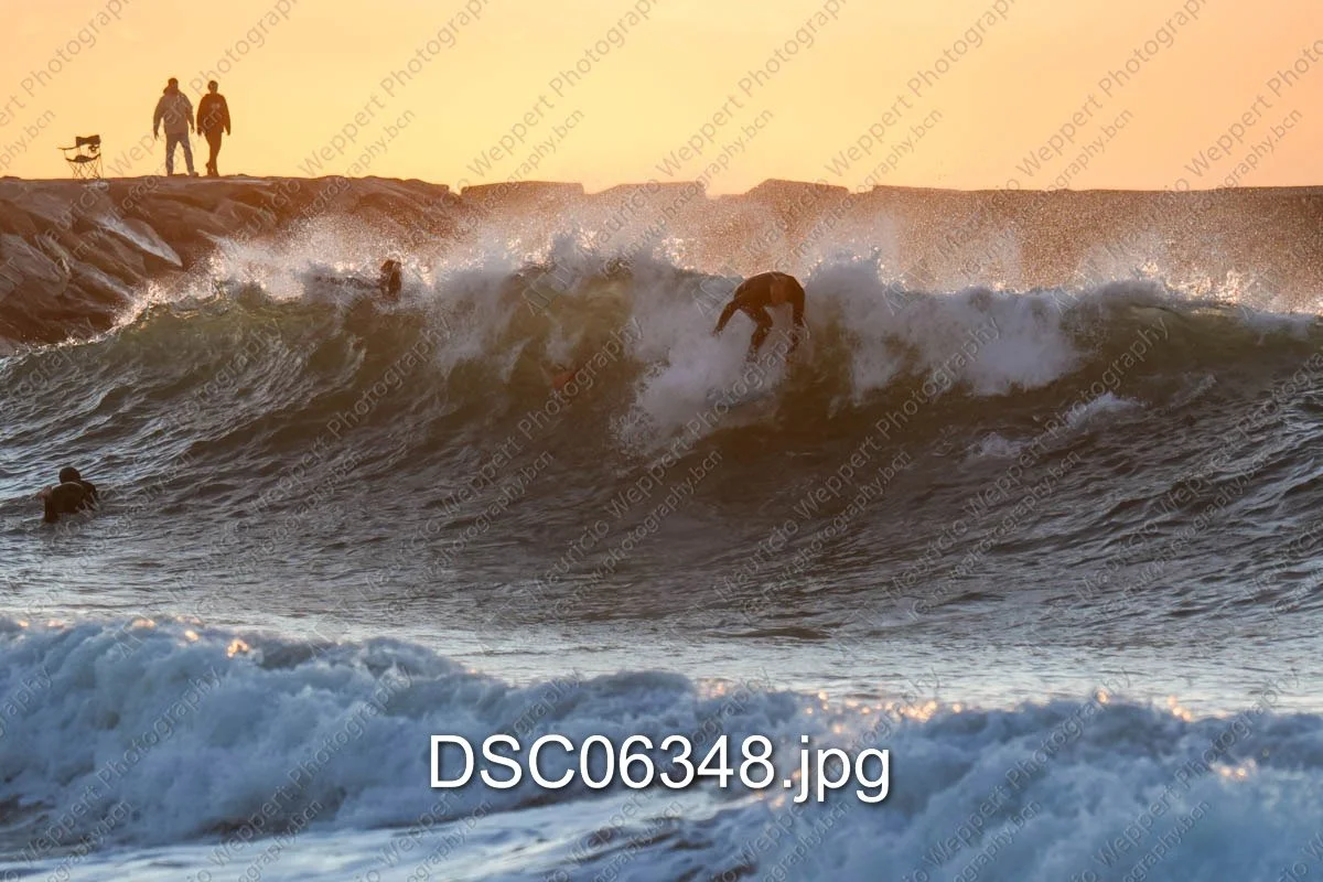 DSC06348.jpg