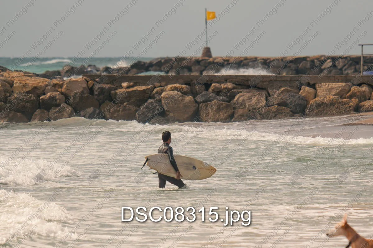 DSC08315.jpg