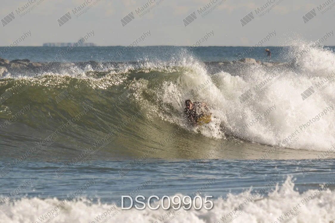 DSC09905.jpg