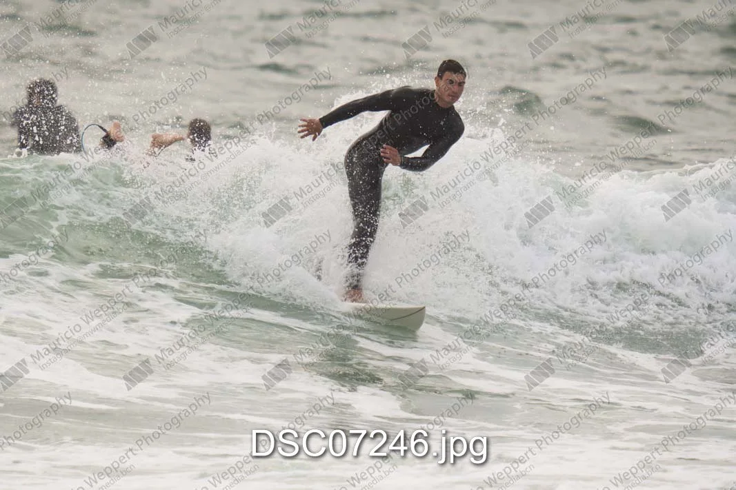 DSC07246.jpg