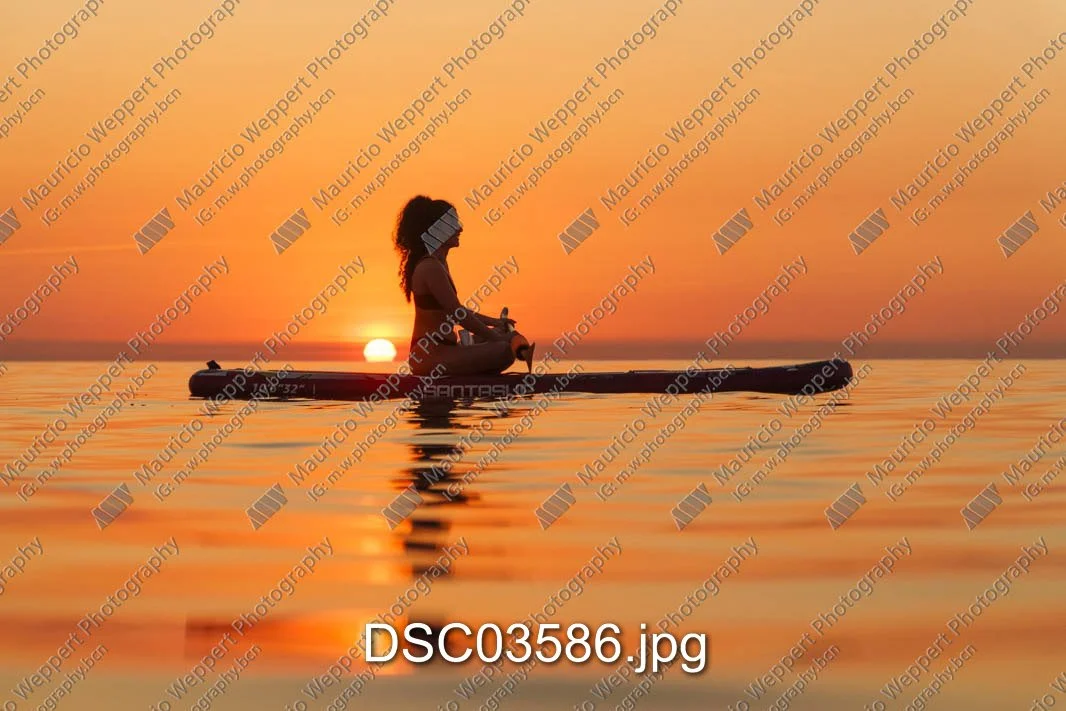 DSC03586.jpg