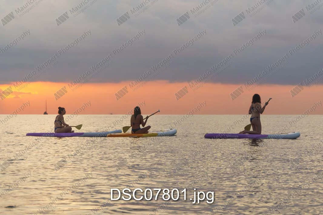 DSC07801.jpg