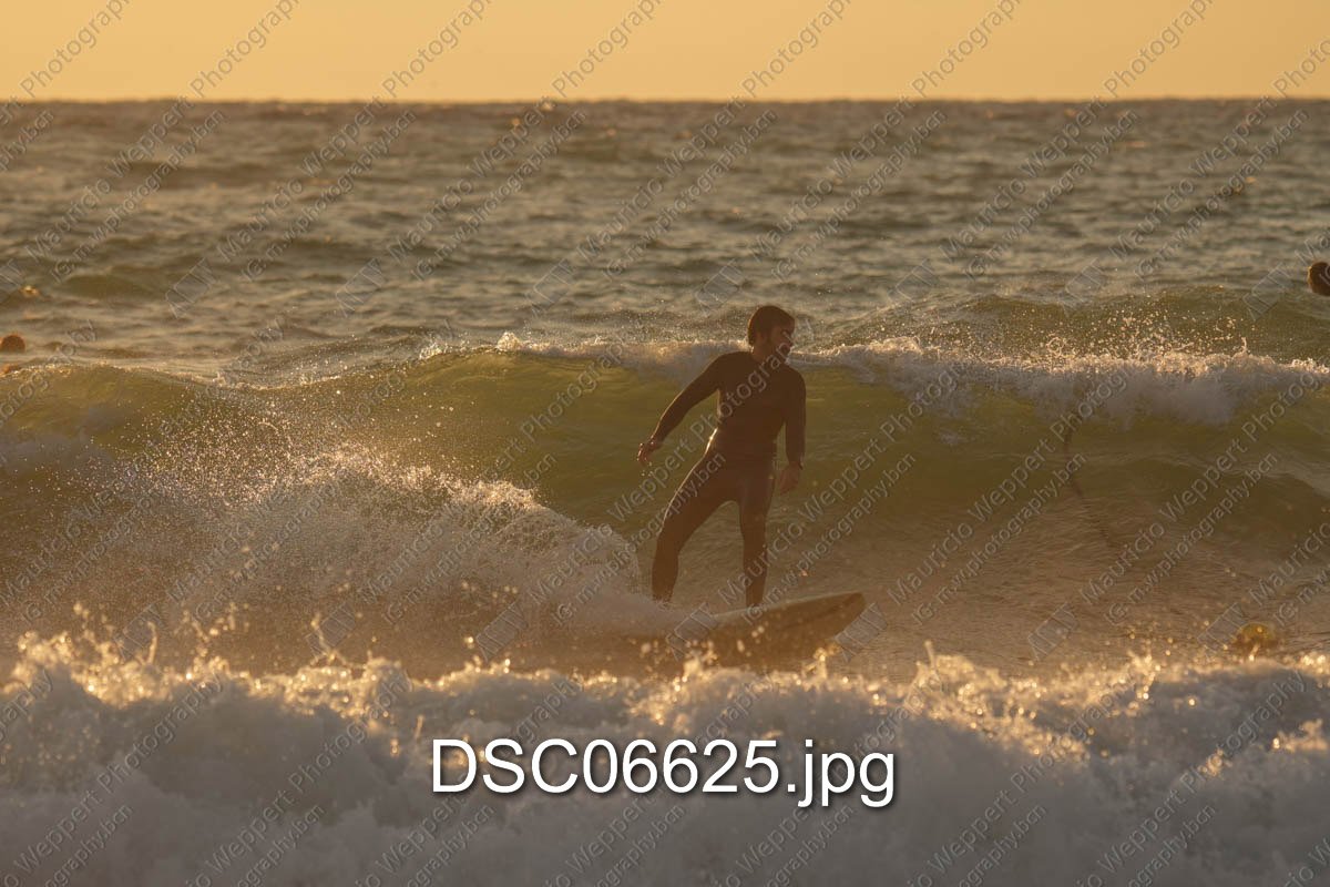 DSC06625.jpg