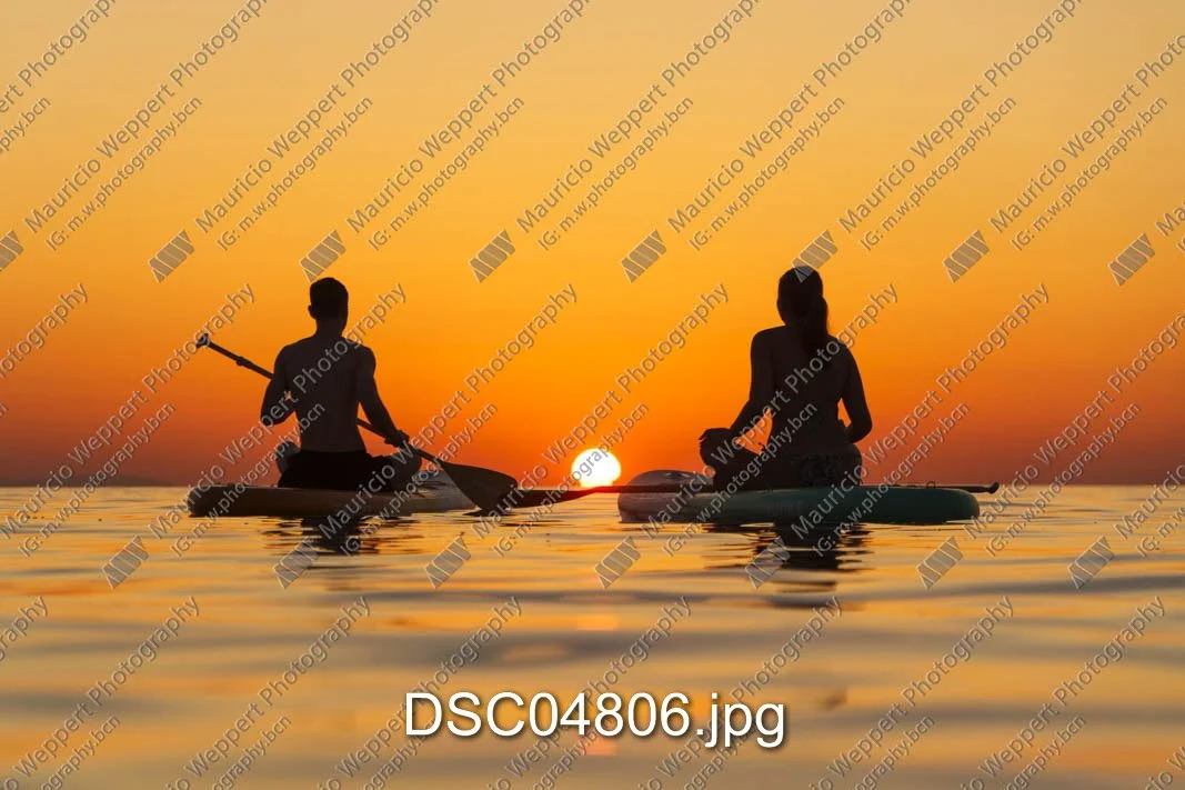 DSC04806.jpg