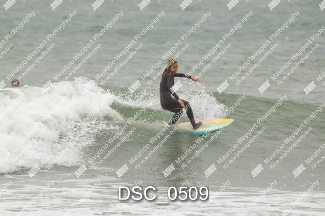 DSC_0509.jpg