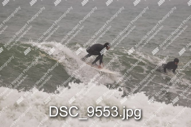 DSC_9553.jpg