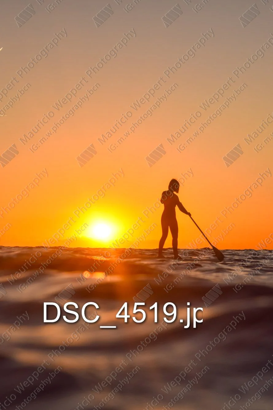 DSC_4519.jpg