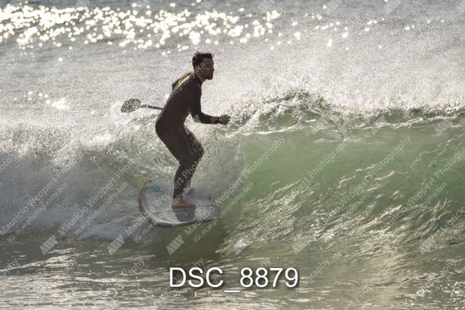 DSC_8879.jpg
