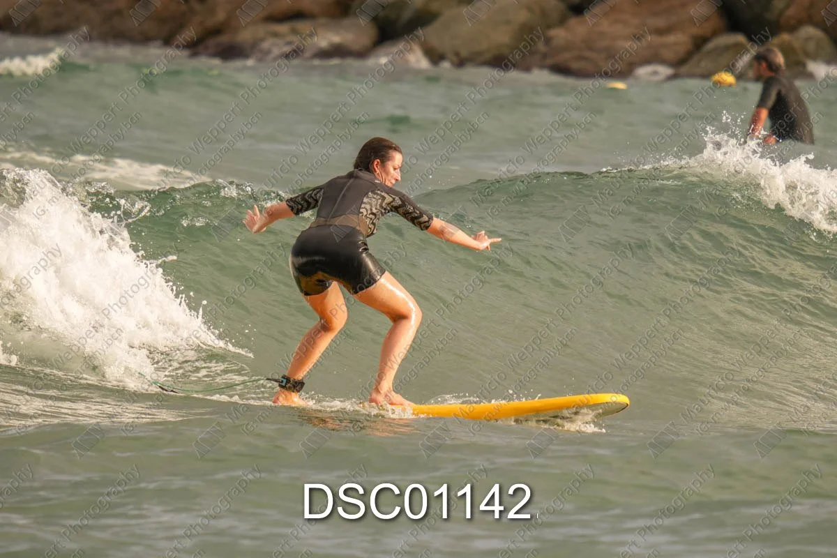 DSC01142.jpg