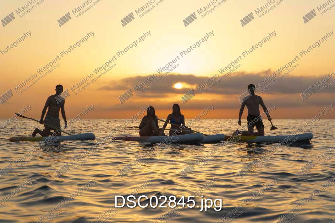 DSC02845.jpg
