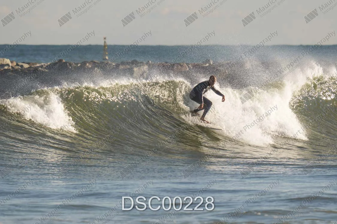 DSC00228.jpg