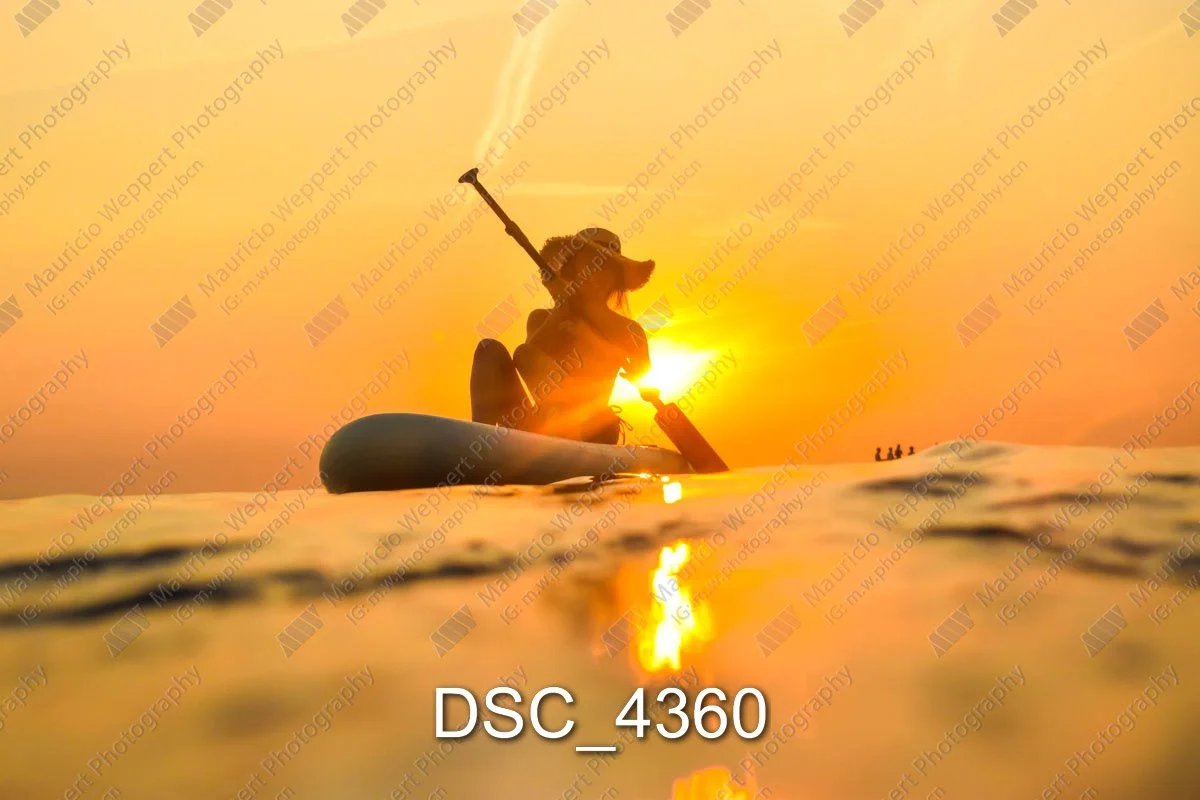 DSC_4360.jpg