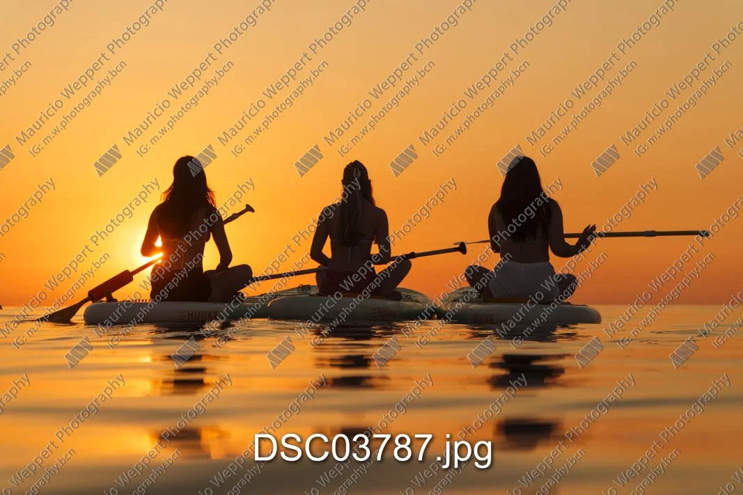 DSC03787.jpg