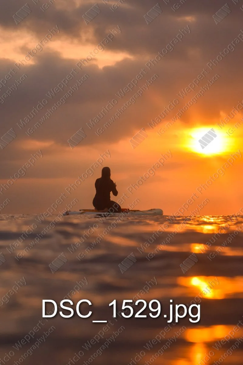 DSC_1529.jpg