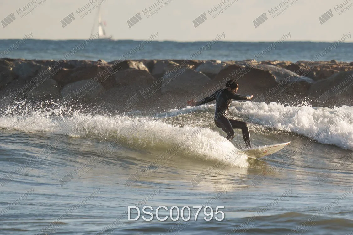 DSC00795.jpg