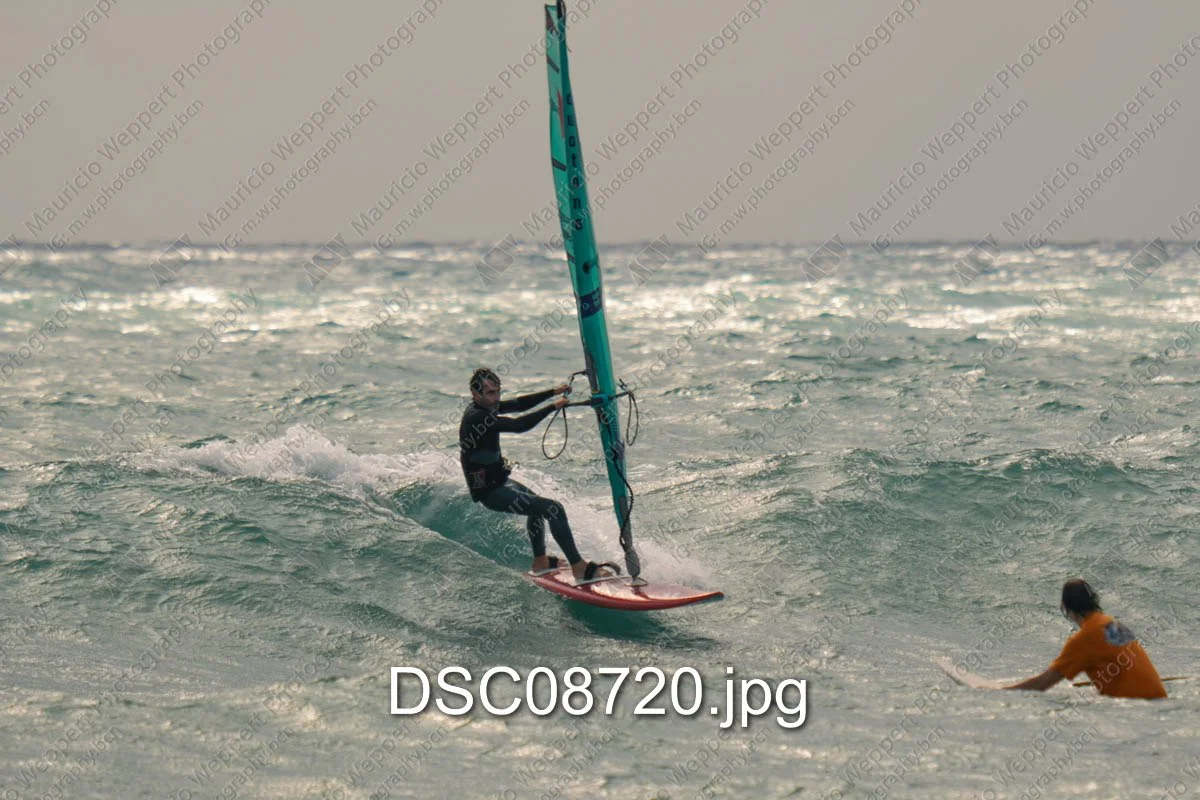 DSC08720.jpg